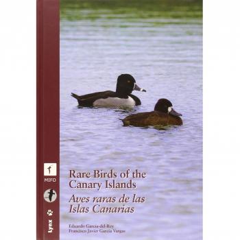 Rare birds in the canary islands / aves raras de las islas canarias