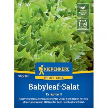 Wüchsiger Babyleaf-Salat Crispita II – mehltauresistenter Salat für Hochbeet und Kübel
