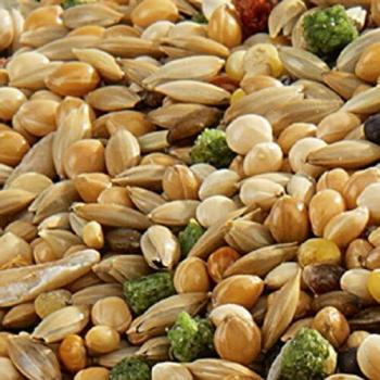 VL Premium Budgie Seed Mix with VAM