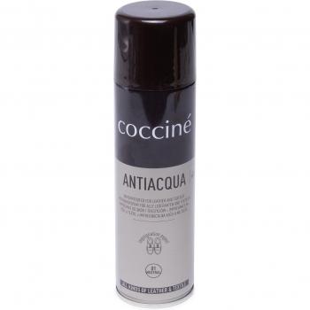 Antiqua Imprägnierspray von Coccine 55/58/250A/67v1