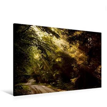 Calvendo Wandbild 120 × 80 cm – Poetische Wege Kalender‑Motiv in Leinwanddruck