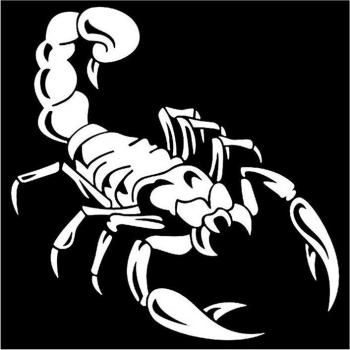 Autocollant de voiture en vinyle blanc, motif scorpion 3D, 40cm