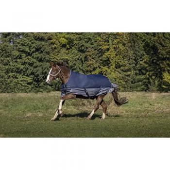 Manta para Caballos Equithème Tyrex 600D con Polvo