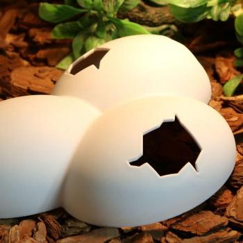 Reptile Cave with EggShell Design