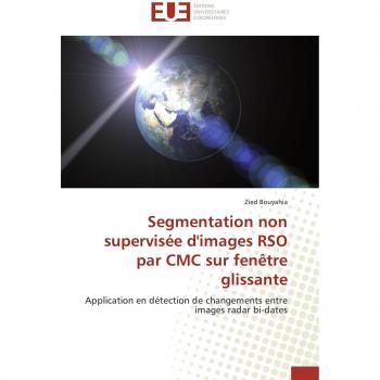 Segmentation non supervisée d'images RSO par CMC sur fenêtre glissante