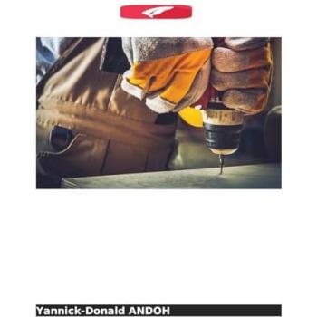 Andoh, Yannick-Donald: Determinantes sociais do acesso ao emprego dos engenheiros do INP-HB
