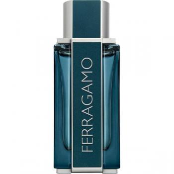 Ferragamo Cuir Intense Eau de Parfum 100 ml