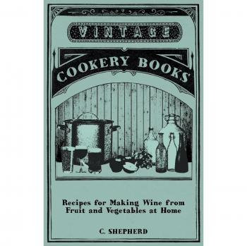 Recipes for Making Wine from Fruit and Vegetables at Home
