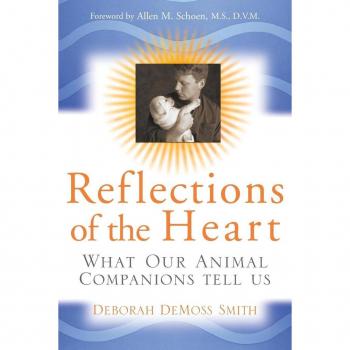 Reflections of the Heart