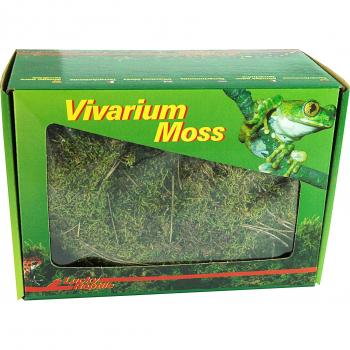 VM‑150 Mousse Terrarium Lucky Reptile – 150 g – Décoration Verte et Humidité