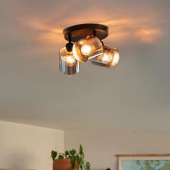 Black Smoke Glass Adjustable Ceiling Light