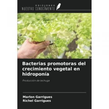 Bacterias promotoras del crecimiento vegetal en hidroponía: Producción de lechuga