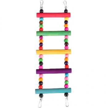 Bird Climbing Ladder