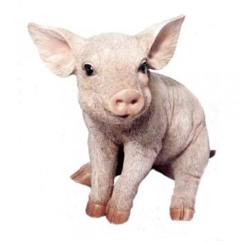 Vivid Arts Real Life Medium Piglet