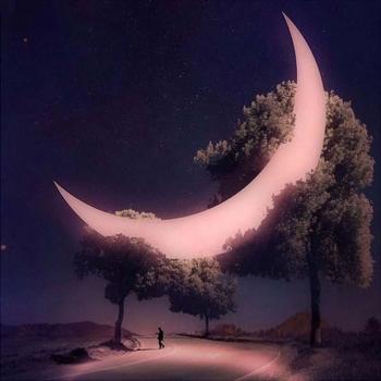 Lunar Garden Embroidery Diamond Painting – 5D, Full Drill, 30×30 cm