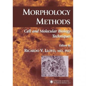 Morphology Methods