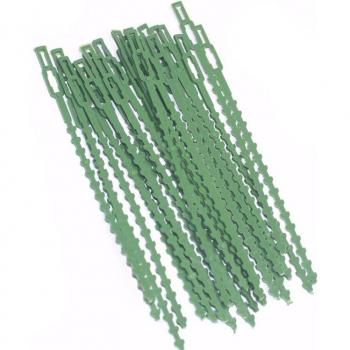 Bridas Réutilisables 50 pcs pour Support d'Arbres