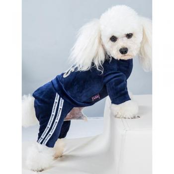 Vêtements de printemps et d'automne pour chiens en velours doré