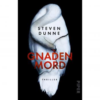 Gnadenmord: Thriller (DI Damen Brook, Band 4)