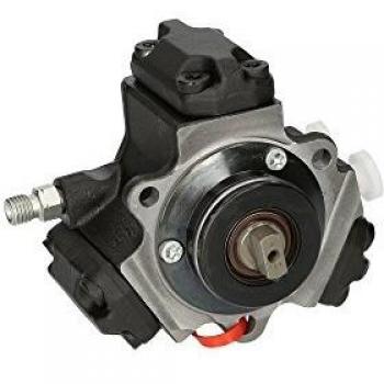 Bosch Hochdruckpumpe Modell 0986437102 – Leistung