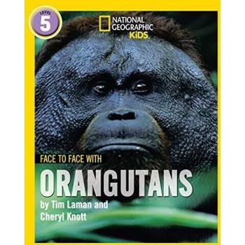 Face to Face with Orangutans by Cheryl Knott