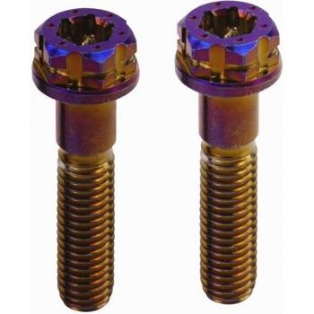 Edelstahl Schraubenset M8 für Honda Yamaha