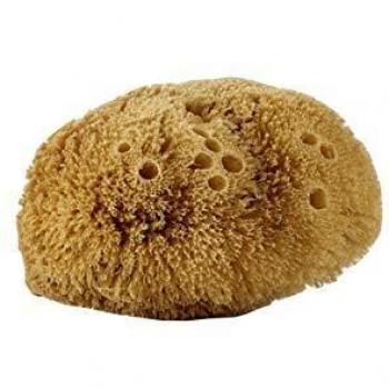 Conjunto de 3 Esponjas Corporais Naturais