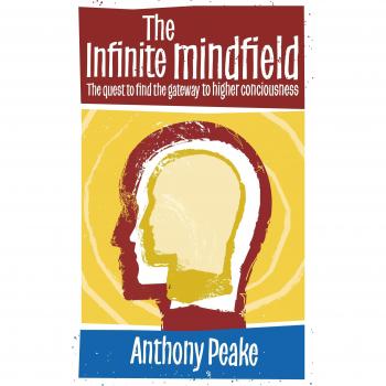 The Infinite Mindfield : A Quest to Find the Gateway to Higher Consciousness