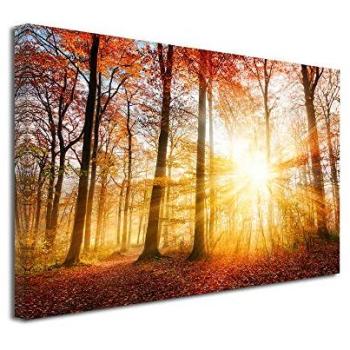 Salon Moderne : Forêt Enchantée 100x60 cm