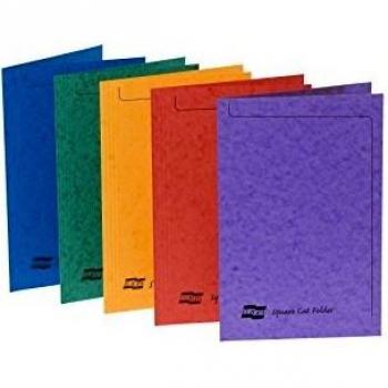 Europa 300 Micron Foolscap Assorted Folder GH4820