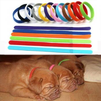 Soft Nylon Dog Collar Accessories with Adhesive Tape