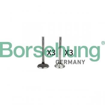 Borsehung B18765 VAG Ventil