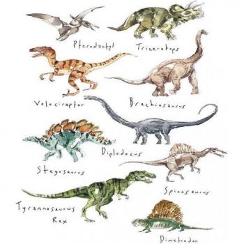 Roos Joachim: Dino Papierdruck