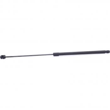 Pistoncini Portellone Forza Scarto 260N 219G0819 Ridex Ammortizzatori Portellone