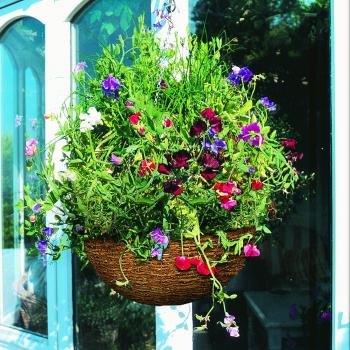 Gardman 20–03‑Hängeampel 30 cm, rustikal