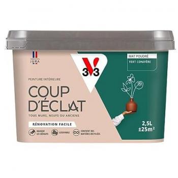 Coup d’Éclat Gris Silex 2,5L Peinture Murale V33