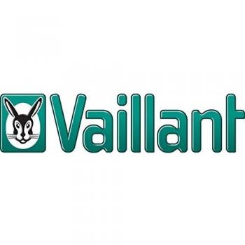Vaillant Scaldabagno Gas Turbomag con Partenza Verticale Coassiale Ø 60/100 mm e Prolunga 1Mt Con Fascetta 60-100