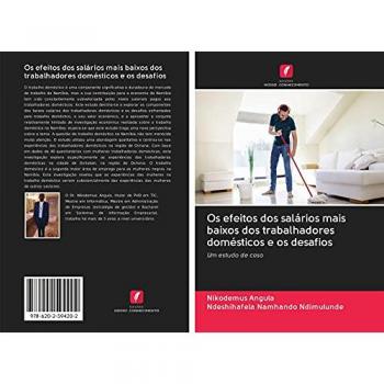 Os efeitos dos salários mais baixos dos trabalhadores domésticos e os desafios: Um estudo de caso