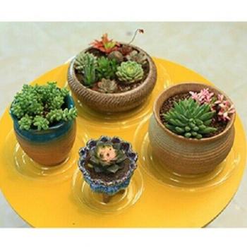 10‑Piece Set of Clear Flower Pots – Nursery Planter Trays & Drip Trays for Garden Plants