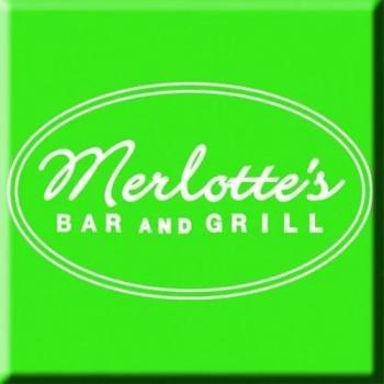 Merlot Wine Bottle Magnet – True Blood Store Exclusive (Green/White)