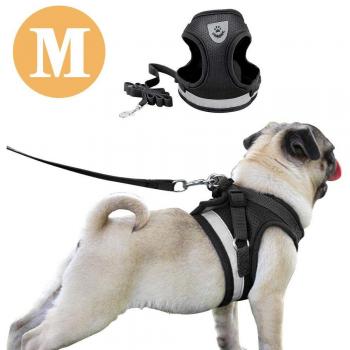 DAMIGRAM Arnés de Pecho para Perros, Con Cinturón de Seguridad, Acolchado y Reflectante