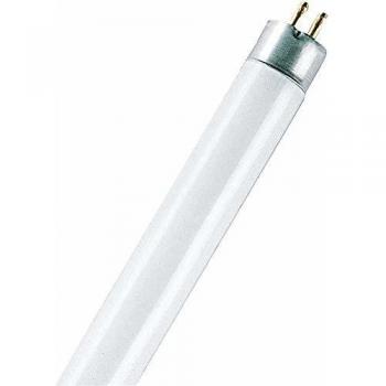 Lampada fluorescente attivo L36/840 Sb Daywhite 120 cm