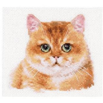 Chaton Câlin