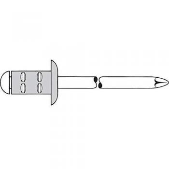 Gesipa Rivetto Cieco 4x13 mm in Acciaio Inox