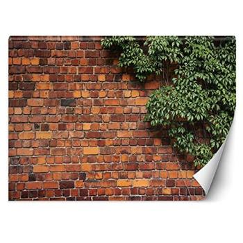 Papier Peint Brique & Plante 130g/m² – 150 × 105 cm – Feeby