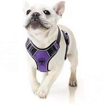 Heele Oxford Mini Harness – Reflective, Purple, S
