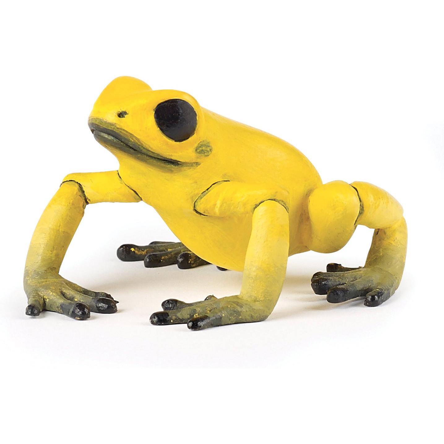 #