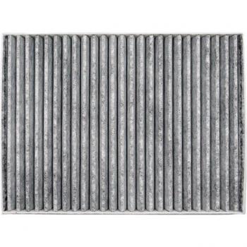 Filtro de cabina Buick PT347C