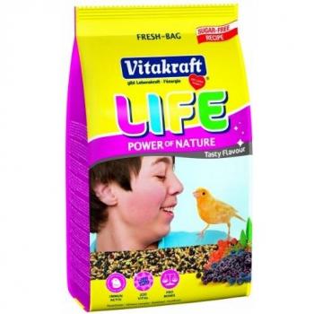 VitalFresh 800 g Bag Set – 5 Pieces