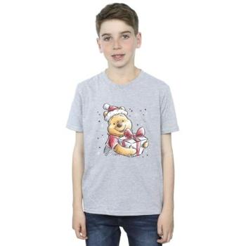 Pooh Bear Present Top – Boy’s 5-6, Grey